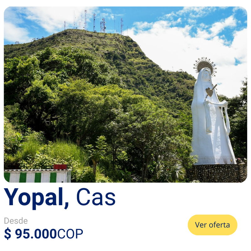Yopal, Cas (9)